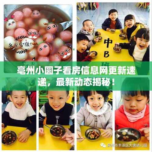 亳州小圆子看房信息网更新速递，最新动态揭秘！