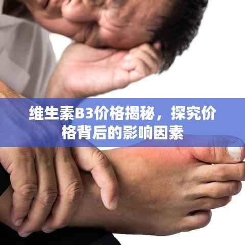 维生素B3价格揭秘,探究价格背后的影响因素