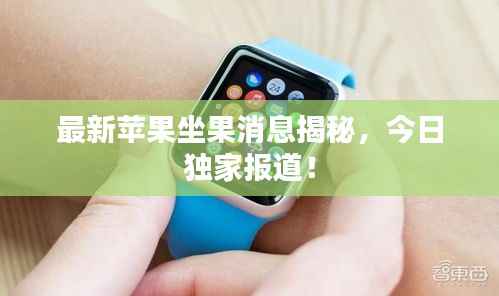 最新苹果坐果消息揭秘,今日独家报道!