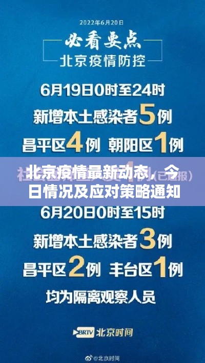 新闻动态 第112页