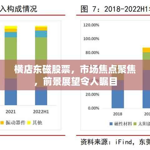 横店东磁股票,市场焦点聚焦,前景展望令人瞩目